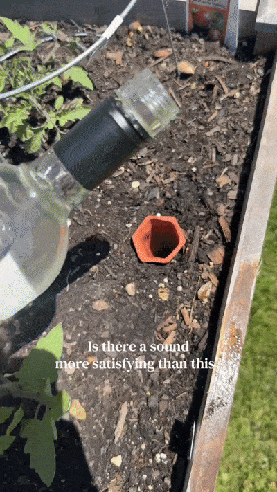 Self‑Watering Terracotta Plant Stakes – 10‑Pack Bottle Drip Spikes 🌱💧