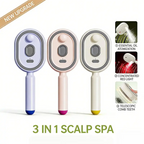 Electric Spray Air Cushion Massage Comb – Nano Mist &Scalp Care 💇♀️✨