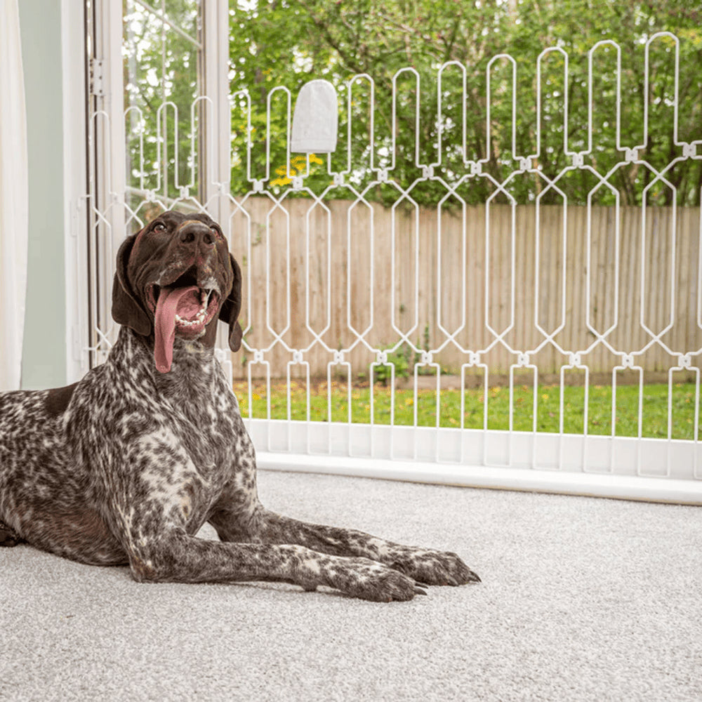 47" Steel Pet Gate – No-Drill 3M Adhesive, Fits Doors & Stairs 🐾🚪
