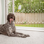 47" Steel Pet Gate – No-Drill 3M Adhesive, Fits Doors & Stairs 🐾🚪