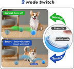Smart Rolling Dog Ball – USB‑C Rechargeable Interactive Toy 🐶⚡