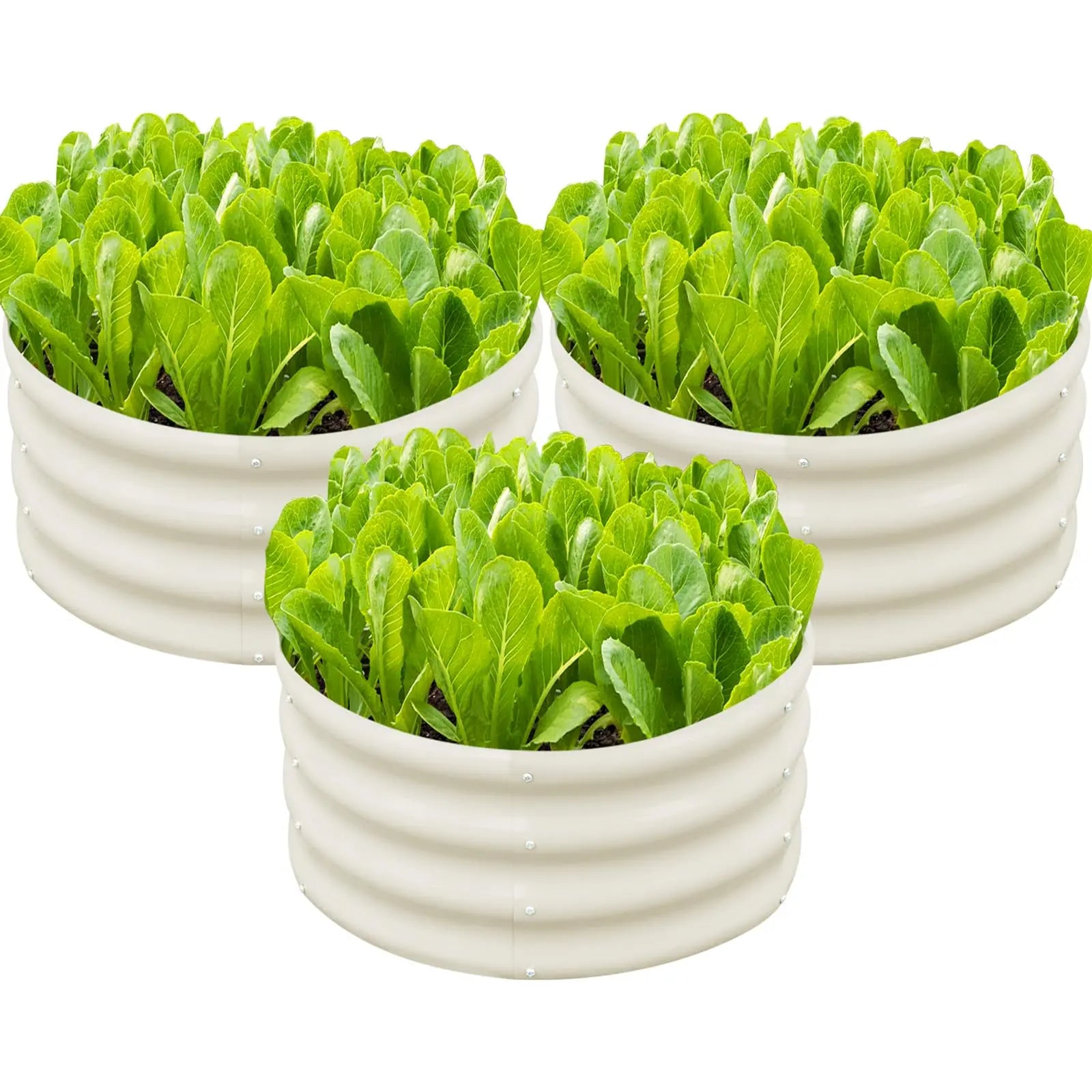 Galvanized Raised Garden Bed – Round Metal Planter Box for Vegetables, Flowers & Fruits