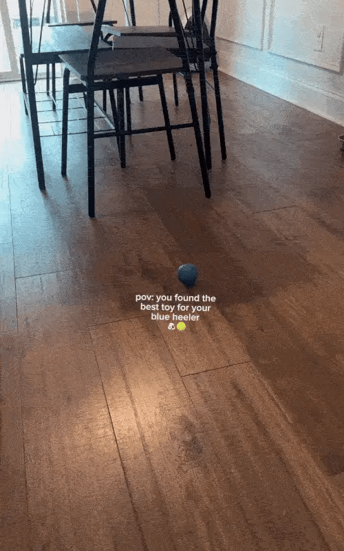 Smart Rolling Dog Ball – USB‑C Rechargeable Interactive Toy 🐶⚡