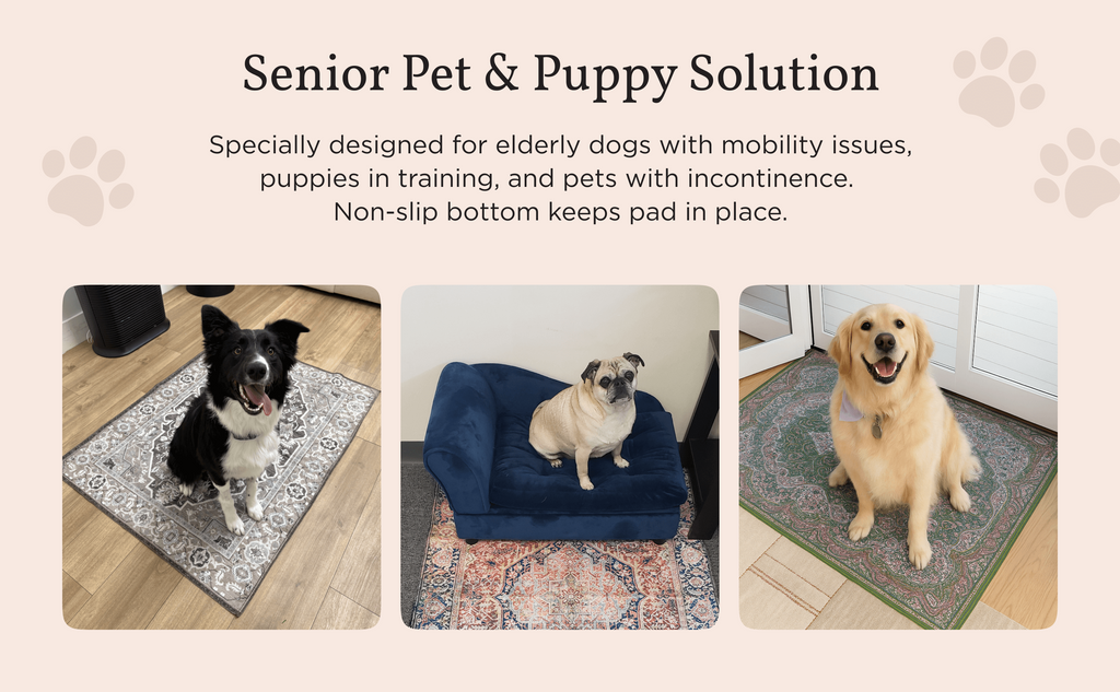 🐶FLASH SALE🐕Washable Dog Pee Pads – Waterproof, Non-Slip, Super Absorbent & Reusable