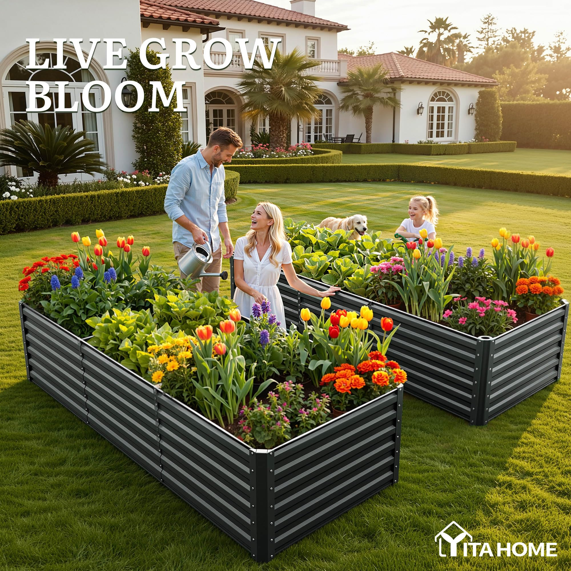 Raised Garden Bed Kit (with Gloves & Tension Bar)   🌱🛠️