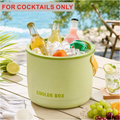 2-in-1 Ice Maker & Storage Bucket – Makes 40 Cubes, Insulated & Portable 🧊🪣