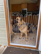 47" Steel Pet Gate – No-Drill 3M Adhesive, Fits Doors & Stairs 🐾🚪