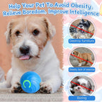 Smart Rolling Dog Ball – USB‑C Rechargeable Interactive Toy 🐶⚡