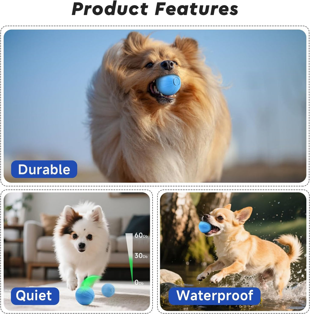 Smart Rolling Dog Ball – USB‑C Rechargeable Interactive Toy 🐶⚡