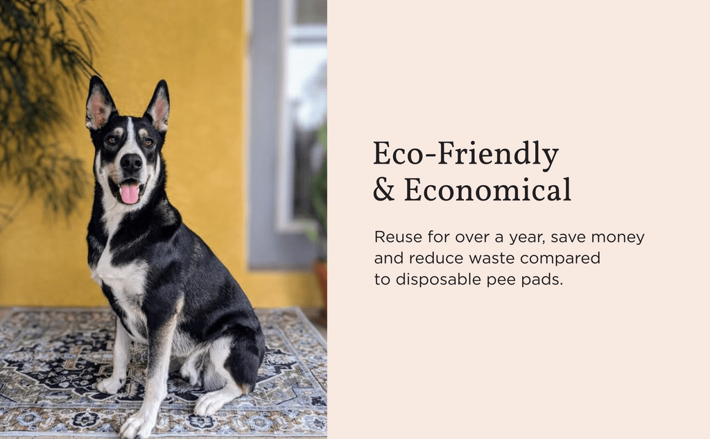 🐶FLASH SALE🐕Washable Dog Pee Pads – Waterproof, Non-Slip, Super Absorbent & Reusable