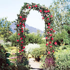 7.9ft Metal Pergola Arch – Freestyle Garden Trellis for Climbing Plants, Wedding & Outdoor Decor
