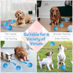 Smart Rolling Dog Ball – USB‑C Rechargeable Interactive Toy 🐶⚡