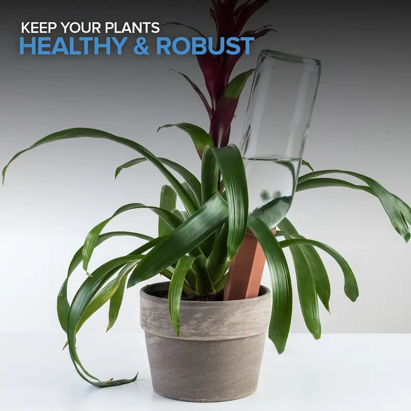 Self‑Watering Terracotta Plant Stakes – 10‑Pack Bottle Drip Spikes 🌱💧