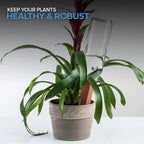 Self‑Watering Terracotta Plant Stakes – 10‑Pack Bottle Drip Spikes 🌱💧