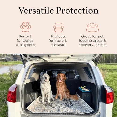 🐶FLASH SALE🐕Washable Dog Pee Pads – Waterproof, Non-Slip, Super Absorbent & Reusable
