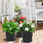 Injection-Molded Nursery Pots – Durable &Weatherproof 🪴⚫