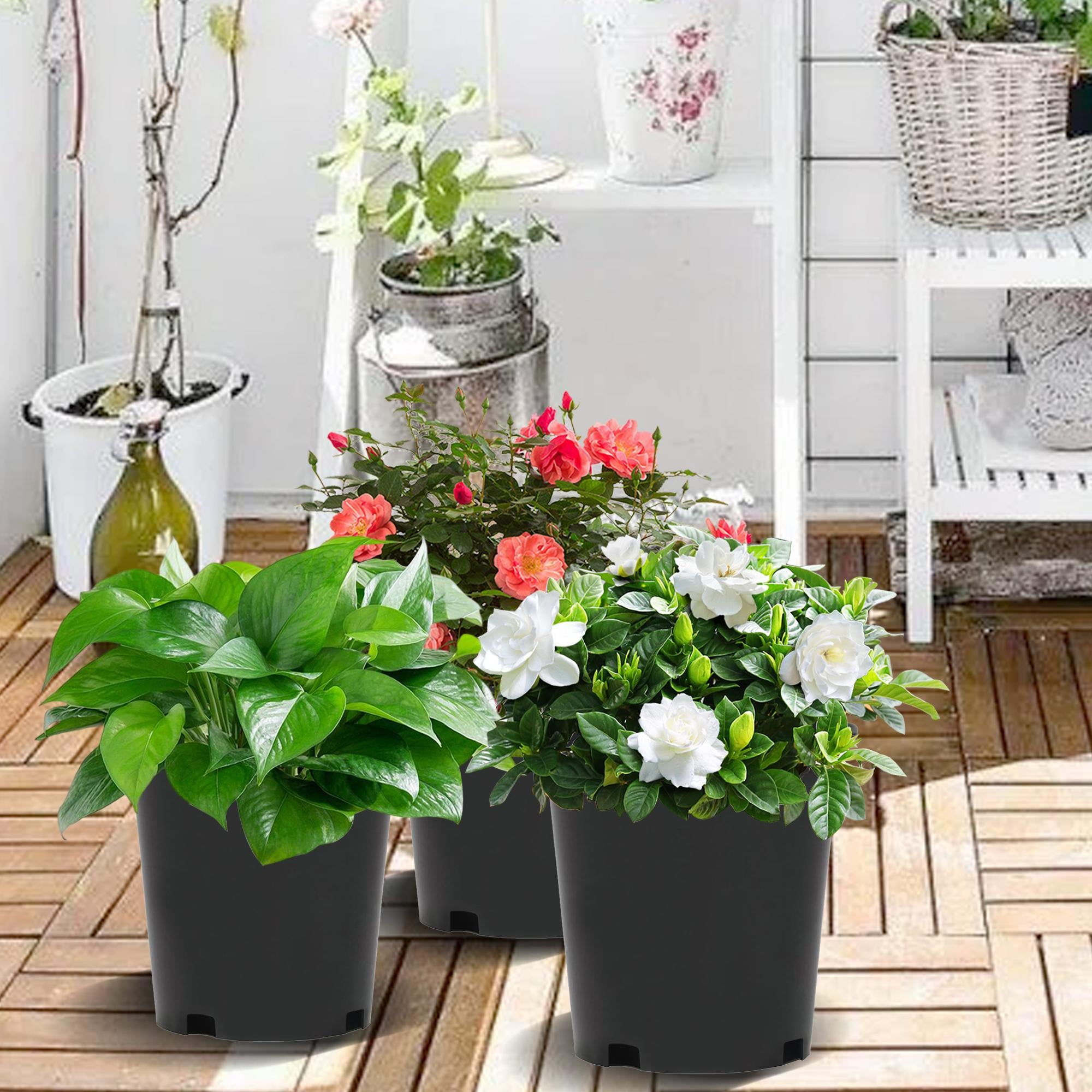 Injection-Molded Nursery Pots – Durable &Weatherproof 🪴⚫