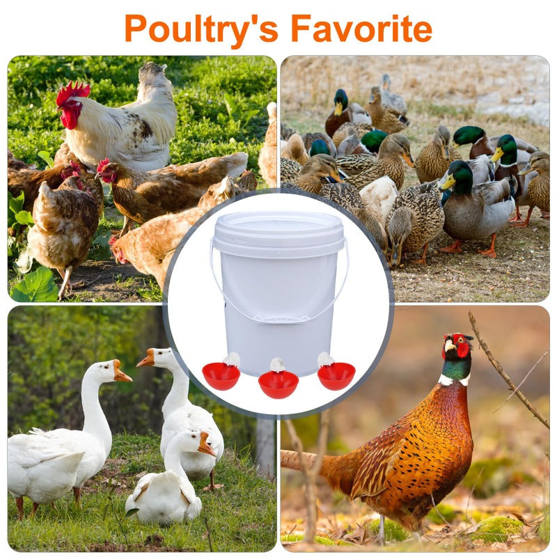 35& 50 pcs Automatic Poultry Waterer Cups – Gravity-Fed, Leak-Proof 🐔💧