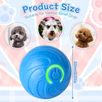 Smart Rolling Dog Ball – USB‑C Rechargeable Interactive Toy 🐶⚡