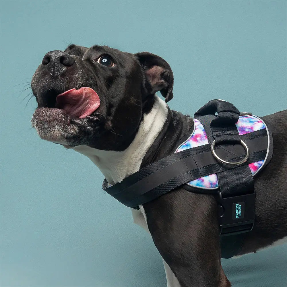 🐕Buy 1, get 1 free!🔥No-Pull Dog Harness with 13 Custom Nametags, Emergency Handle & 360° Reflective Stri