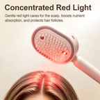 Electric Spray Air Cushion Massage Comb – Nano Mist &Scalp Care 💇♀️✨