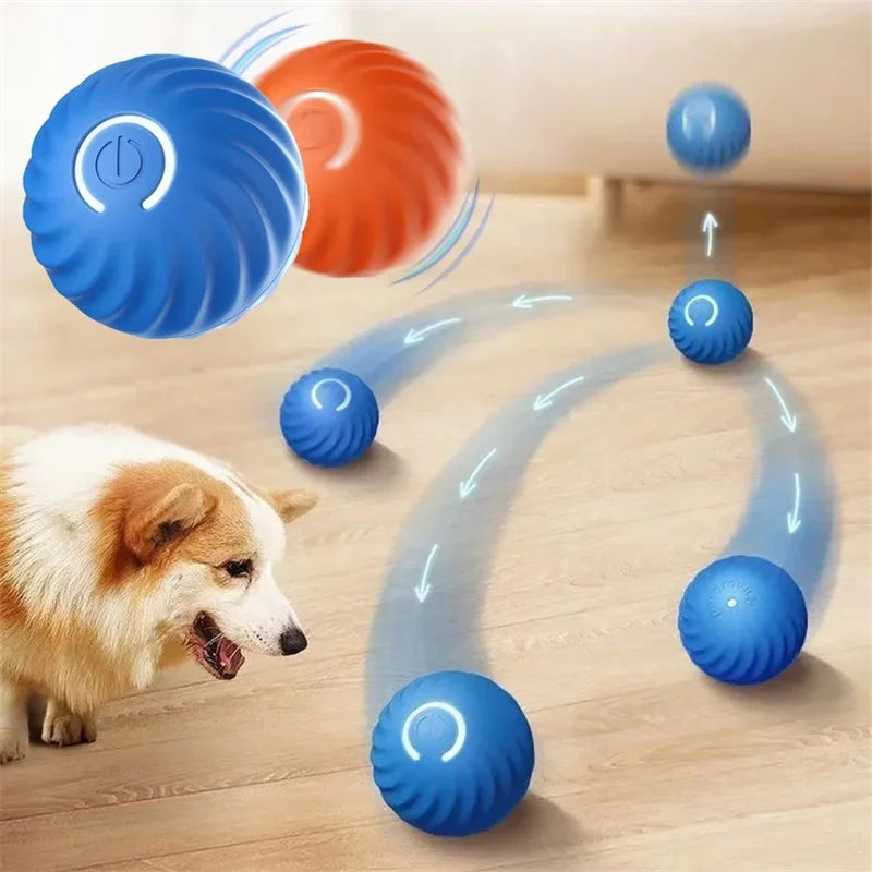 Smart Rolling Dog Ball – USB‑C Rechargeable Interactive Toy 🐶⚡