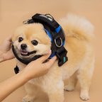 🐕Buy 1, get 1 free!🔥No-Pull Dog Harness with 13 Custom Nametags, Emergency Handle & 360° Reflective Stri