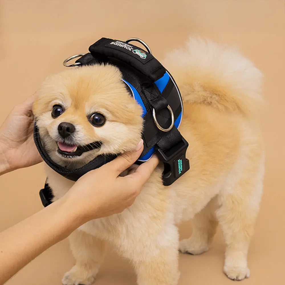 🐕Buy 1, get 1 free!🔥No-Pull Dog Harness with 13 Custom Nametags, Emergency Handle & 360° Reflective Stri