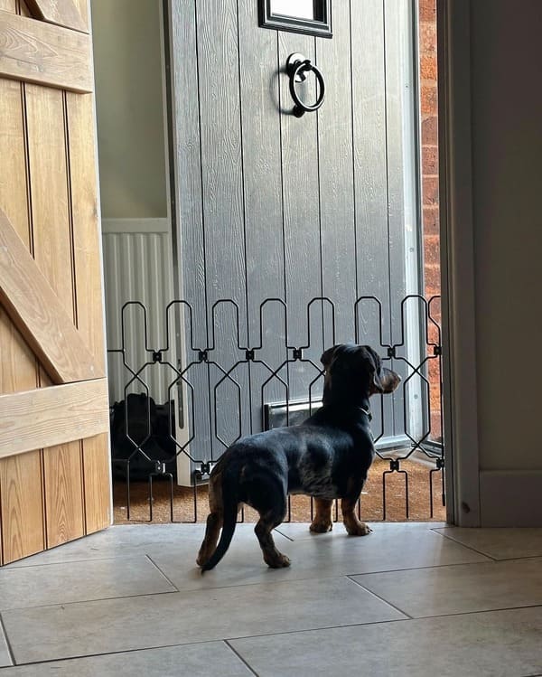 47" Steel Pet Gate – No-Drill 3M Adhesive, Fits Doors & Stairs 🐾🚪
