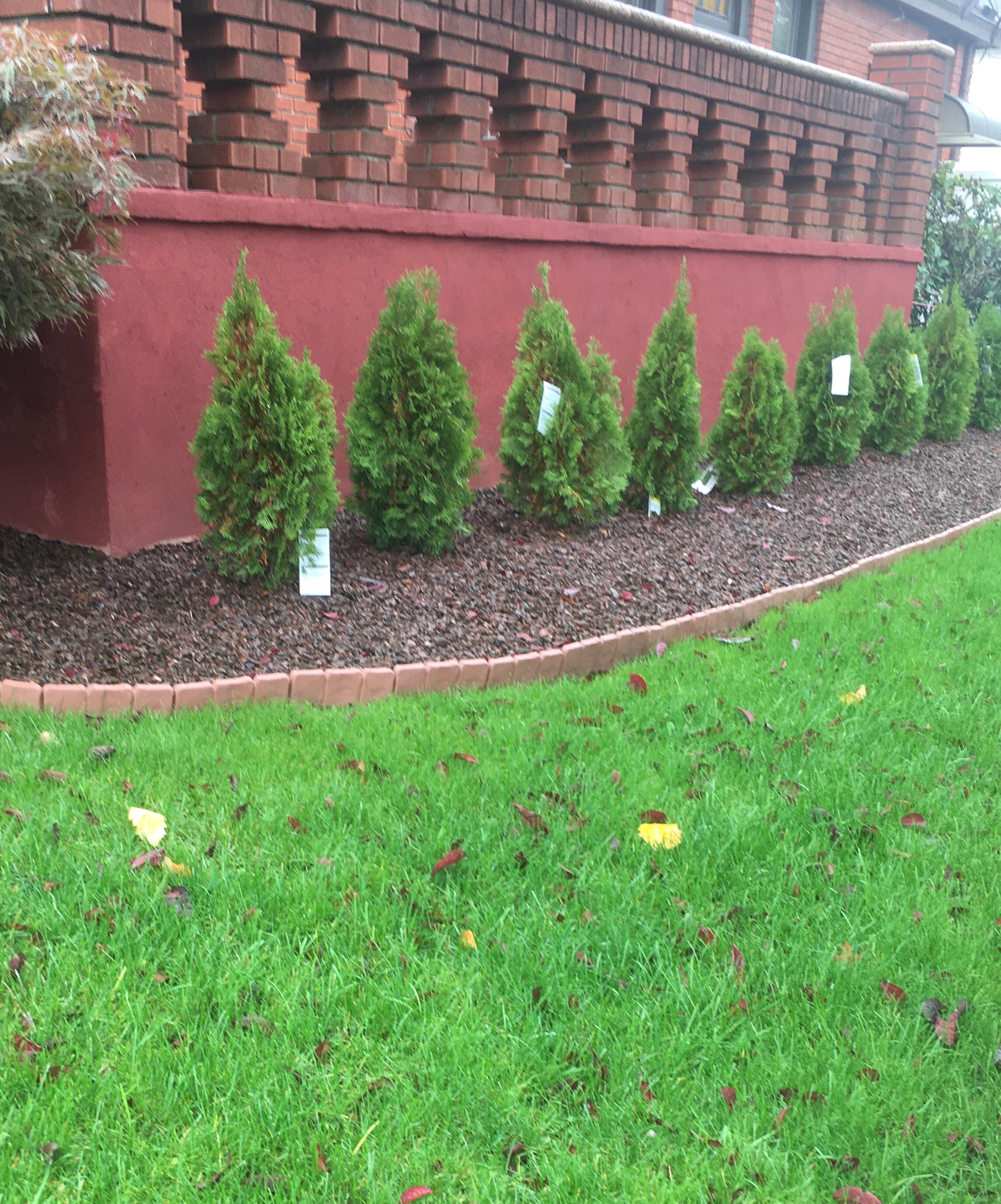 Imitation Stone Garden Edging – Flexible & Tool-Free 🌿🪨