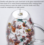Double Layer Dried Flower Glass Mug – 10oz Tea &Coffee Cup 🌸🍵
