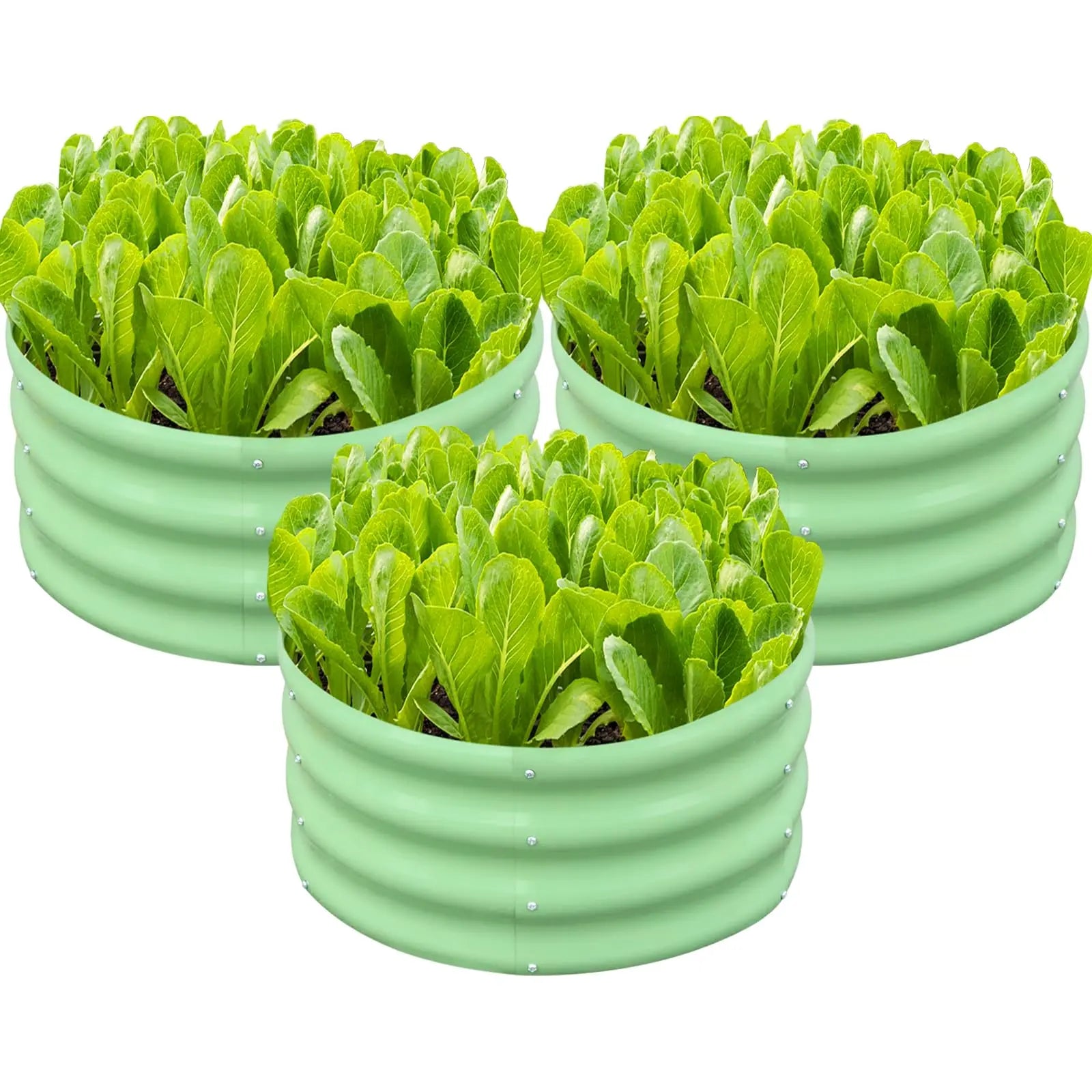 Galvanized Raised Garden Bed – Round Metal Planter Box for Vegetables, Flowers & Fruits