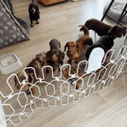 47" Steel Pet Gate – No-Drill 3M Adhesive, Fits Doors & Stairs 🐾🚪