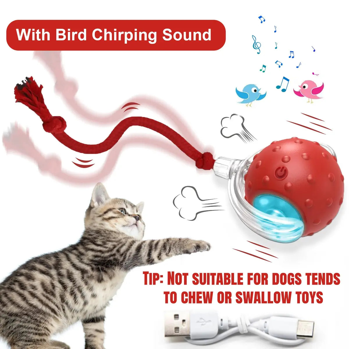 🐱🌺2026 Smart Cat Water Fountain with Wi-Fi APP Control & 5000mAh Battery
