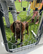 47" Steel Pet Gate – No-Drill 3M Adhesive, Fits Doors & Stairs 🐾🚪