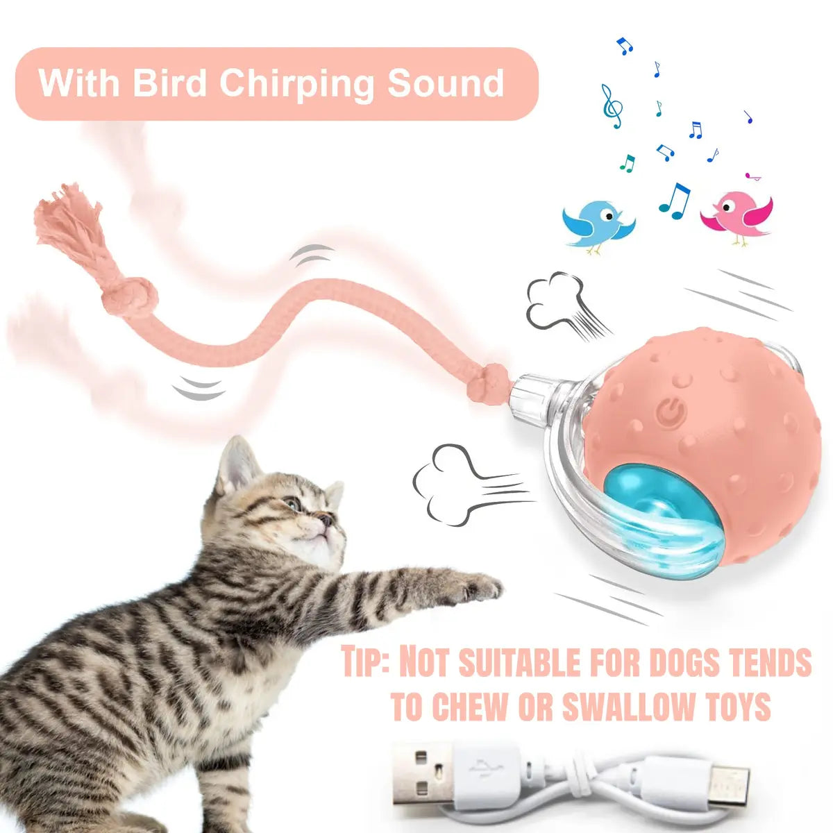 🐱🌺2026 Smart Cat Water Fountain with Wi-Fi APP Control & 5000mAh Battery