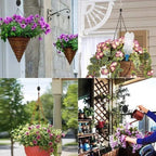 Retractable Pulley Plant Hanger – Easy Lift for 10kg Baskets 🌿🪂