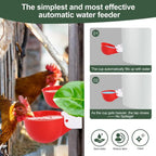 35& 50 pcs Automatic Poultry Waterer Cups – Gravity-Fed, Leak-Proof 🐔💧
