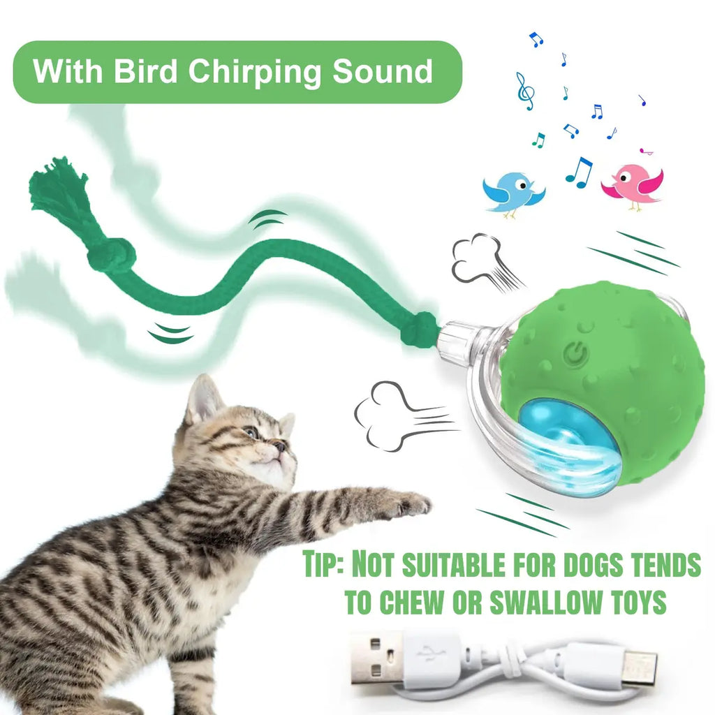 🐱🌺2026 Smart Cat Water Fountain with Wi-Fi APP Control & 5000mAh Battery