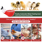 35& 50 pcs Automatic Poultry Waterer Cups – Gravity-Fed, Leak-Proof 🐔💧