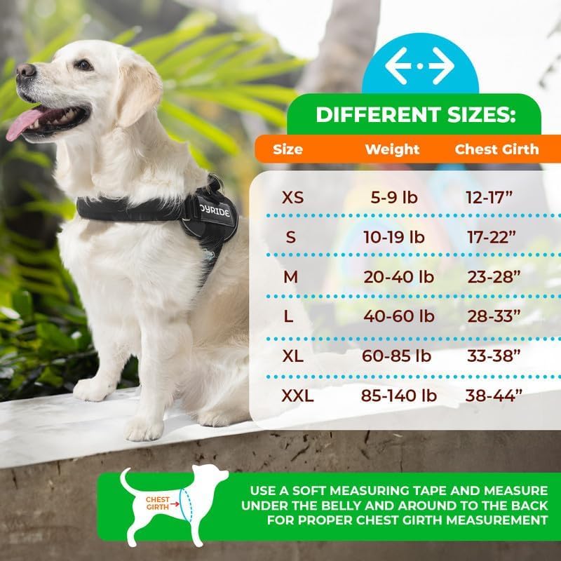 🐕Buy 1, get 1 free!🔥No-Pull Dog Harness with 13 Custom Nametags, Emergency Handle & 360° Reflective Stri