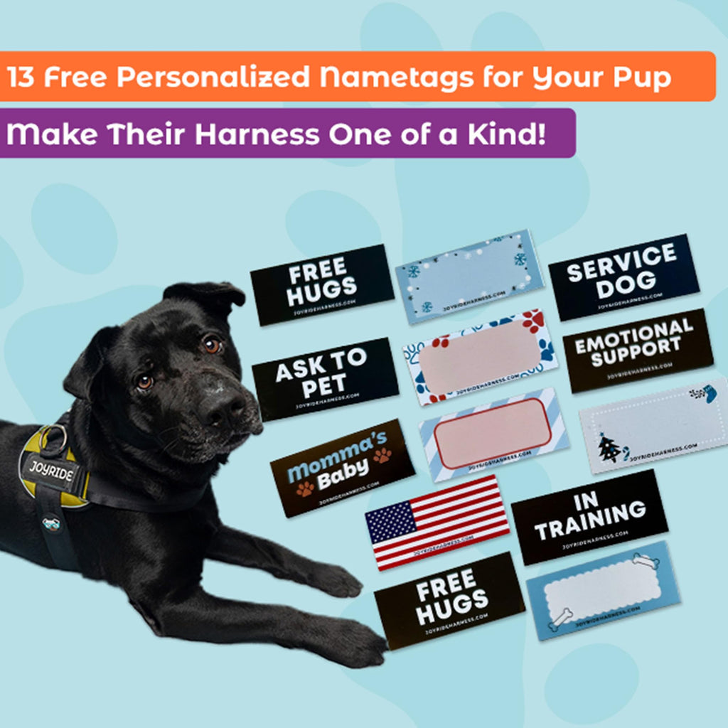 🐕Buy 1, get 1 free!🔥No-Pull Dog Harness with 13 Custom Nametags, Emergency Handle & 360° Reflective Stri