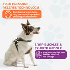 🐕Buy 1, get 1 free!🔥No-Pull Dog Harness with 13 Custom Nametags, Emergency Handle & 360° Reflective Stri