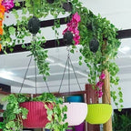 Retractable Pulley Plant Hanger – Easy Lift for 10kg Baskets 🌿🪂