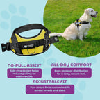 🐕Buy 1, get 1 free!🔥No-Pull Dog Harness with 13 Custom Nametags, Emergency Handle & 360° Reflective Stri
