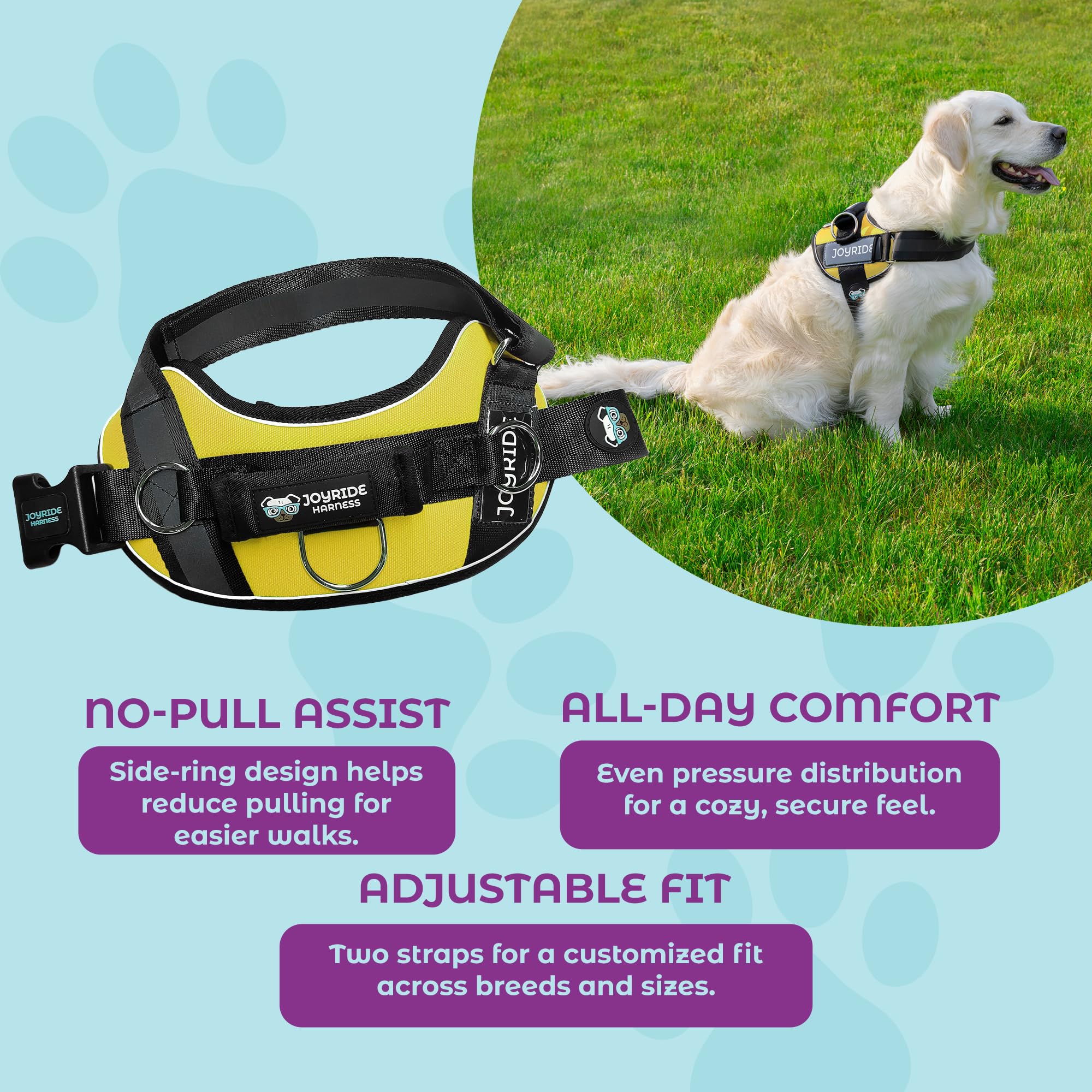 🐕Buy 1, get 1 free!🔥No-Pull Dog Harness with 13 Custom Nametags, Emergency Handle & 360° Reflective Stri