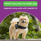 🐕Buy 1, get 1 free!🔥No-Pull Dog Harness with 13 Custom Nametags, Emergency Handle & 360° Reflective Stri