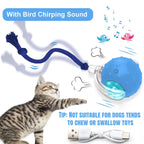 🐱🌺2026 Smart Cat Water Fountain with Wi-Fi APP Control & 5000mAh Battery