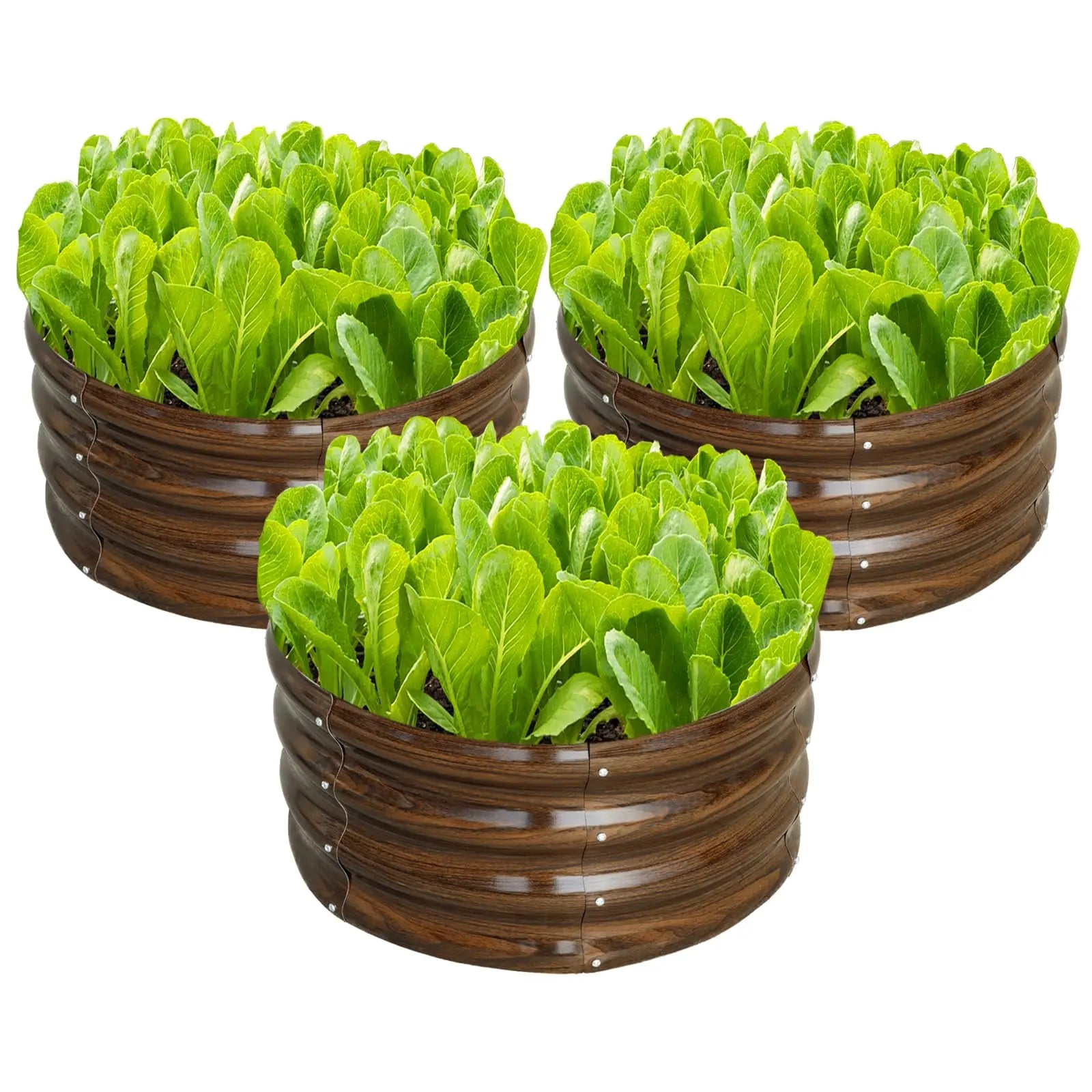 Galvanized Raised Garden Bed – Round Metal Planter Box for Vegetables, Flowers & Fruits