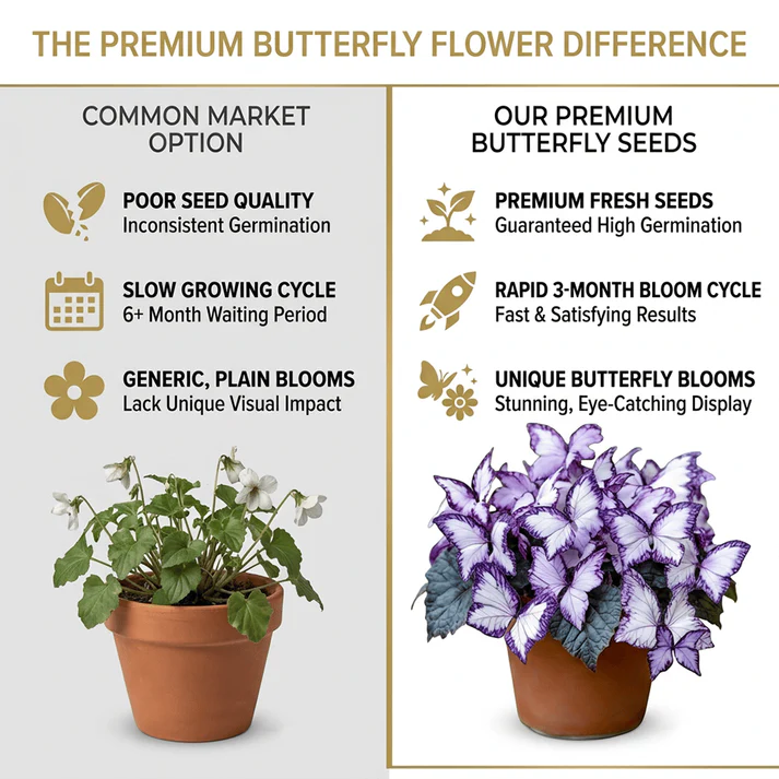 Moonlight Butterfly Flower Seeds – 3000+ Heirloom, 3‑Month Bloom 🦋🌼